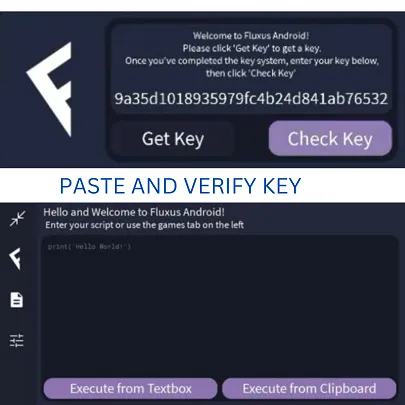 paste key and verify to use fluxus